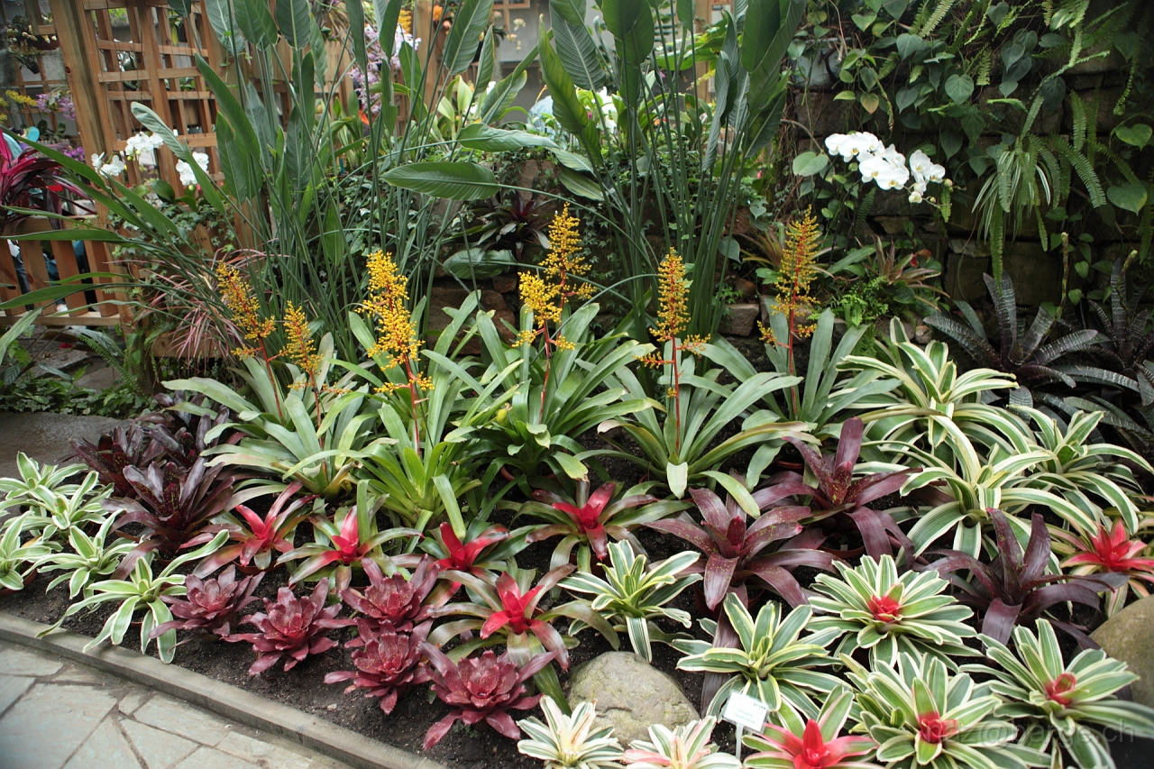 EOS 5D Mark II16_04_20134973.JPG